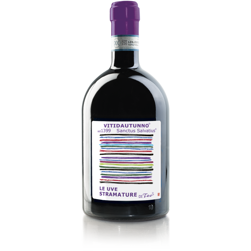 Teo Costa Vitidautunno Uve Stramature Barbera 75cl