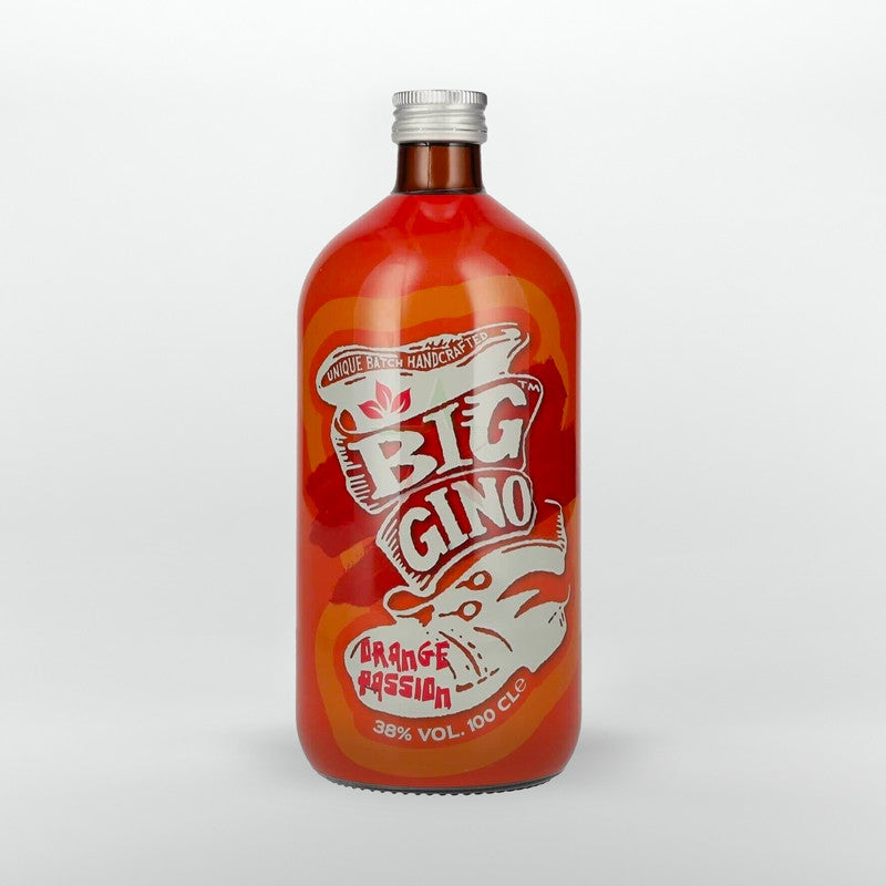 BIG GINO ORANGE PASSION 1L