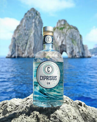 Caprisius Gin 70cl